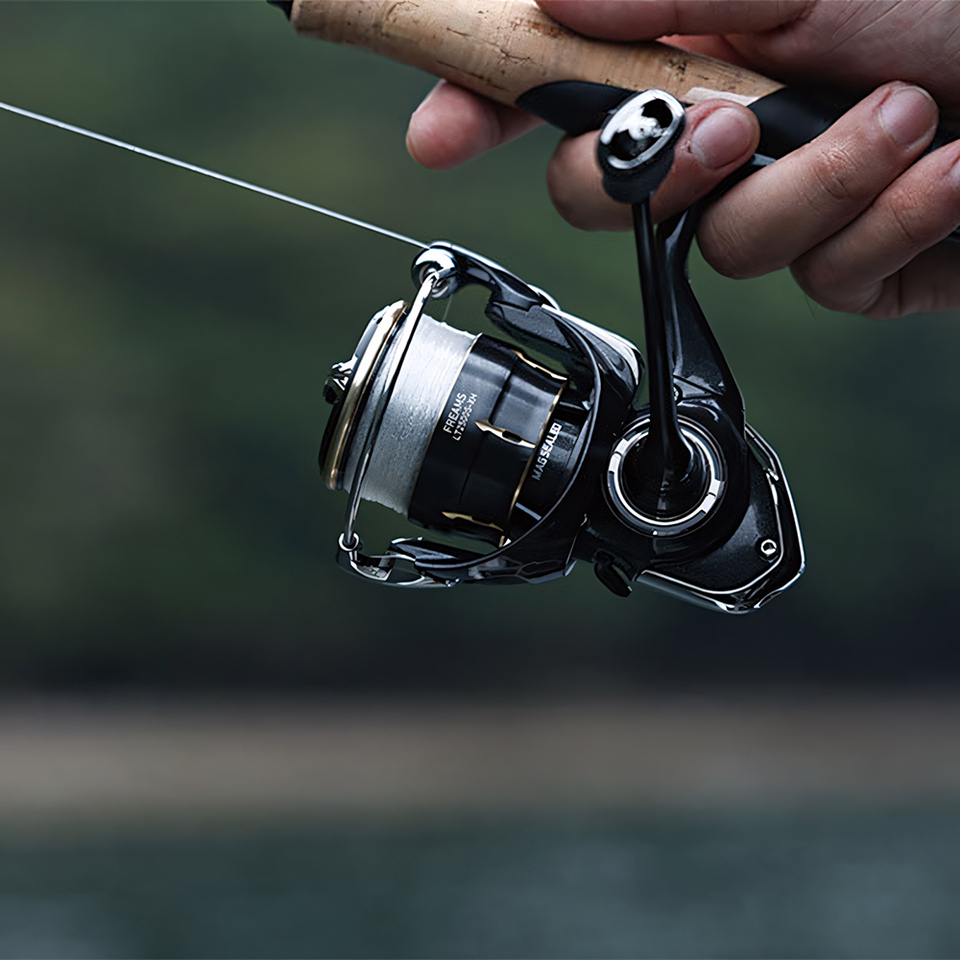 DAIWA 2026 FREAMS Spinning Ree - огляд і ціна Daiwa Reel Fuego